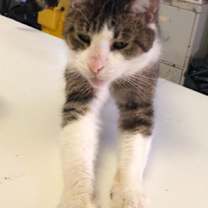 Thumbnail photo of ZOLA! #4