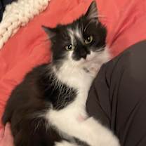 Thumbnail photo of Gilda Catner #3