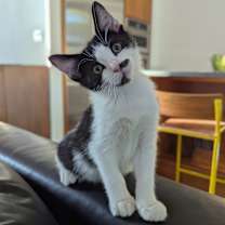 Thumbnail photo of Nate #1