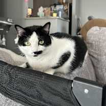 Thumbnail photo of Luna #4