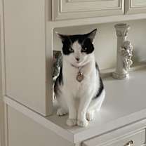 Thumbnail photo of Sugar #1