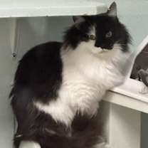 Thumbnail photo of Candace #2