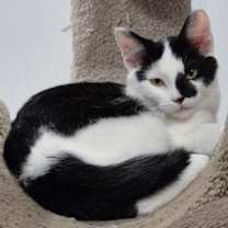 Thumbnail photo of Mari #1