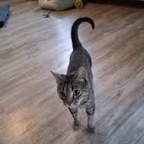 Thumbnail photo of Arwen #3