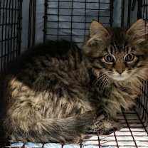 Thumbnail photo of  Ebenezer #2