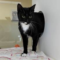 Thumbnail photo of Annie #2