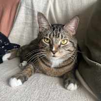 Thumbnail photo of Oscar #1