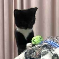 Thumbnail photo of Sarah Sanderson #3