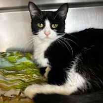 Thumbnail photo of Fredricka #1