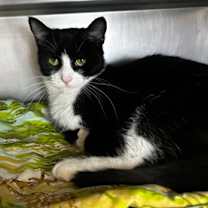 Thumbnail photo of Fredricka #2