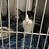 Thumbnail photo of Fredricka #3