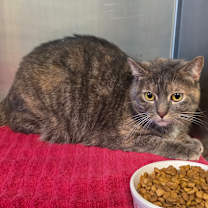 Thumbnail photo of Lilo #2