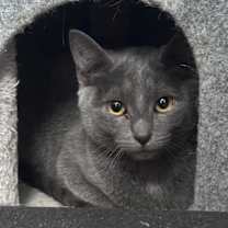 Thumbnail photo of Tamara #3