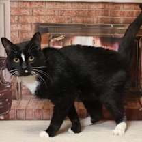 Thumbnail photo of Scout #1