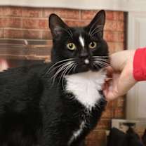 Thumbnail photo of Scout #2