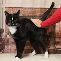 Thumbnail photo of Scout #3