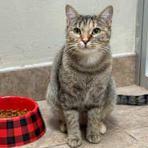 Thumbnail photo of Skully #1