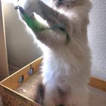 Thumbnail photo of Judy #2