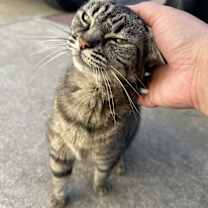 Thumbnail photo of Bunny #2