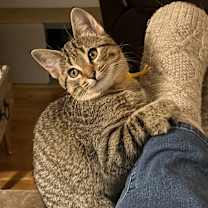 Thumbnail photo of Blue Bell #2