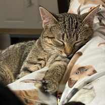 Thumbnail photo of Blue Bell #3