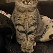 Thumbnail photo of Blue Bell #4