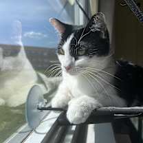 Thumbnail photo of Rudy #3