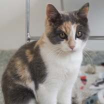 Thumbnail photo of Sid #1