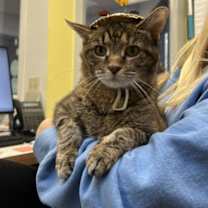 Thumbnail photo of Eleanor #2