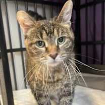 Thumbnail photo of Eleanor #3