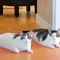 Thumbnail photo of Sharee #3