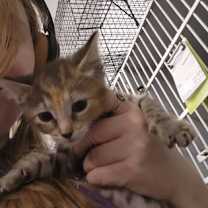 Thumbnail photo of Babs #2