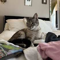 Thumbnail photo of River #2