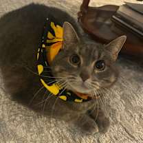 Thumbnail photo of Sasha #1