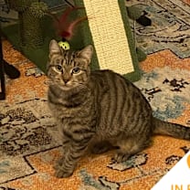 Thumbnail photo of Eerie #1