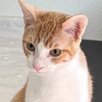 Thumbnail photo of Alvin #2