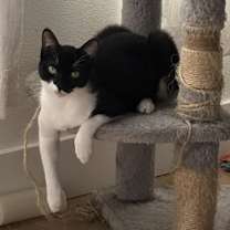 Thumbnail photo of Lavender #2