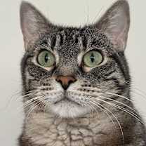 Thumbnail photo of ZEUS #4