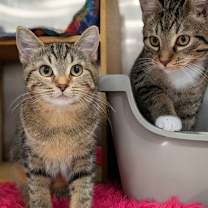 Thumbnail photo of Ridge #4