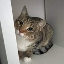 Thumbnail photo of Gretel #2