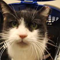 Thumbnail photo of Bubbles #1