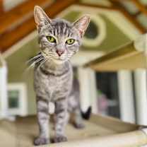 Thumbnail photo of John Mayer #1