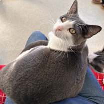 Thumbnail photo of Pumpkin #1