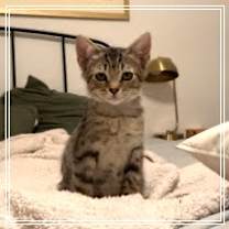 Thumbnail photo of Dottie #2