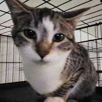 Thumbnail photo of River #1