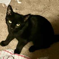 Thumbnail photo of Kee (@WC PFE on Sat) #2