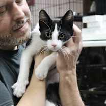 Thumbnail photo of Zorro #2