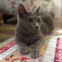 Thumbnail photo of Riot #2