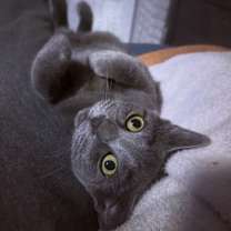 Thumbnail photo of Riot #4