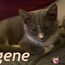 Thumbnail photo of Eugene #3